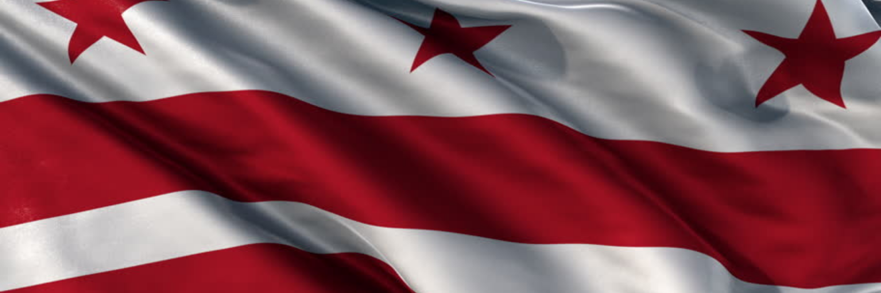 District of Columbia Brady List